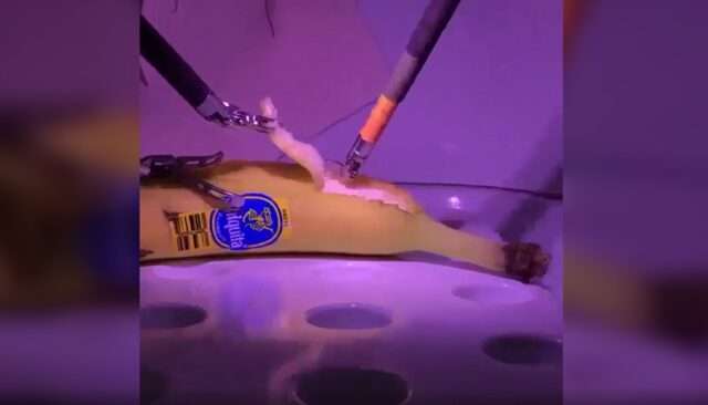Robot does surgery of Banana