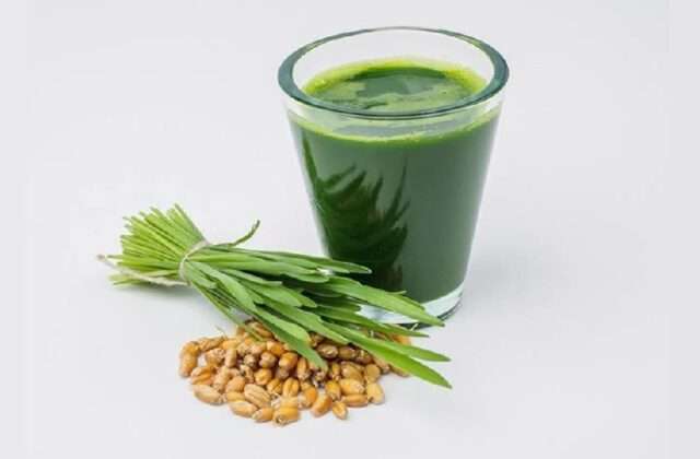 Wheatgrass Juice has Amazing Health Benefits
